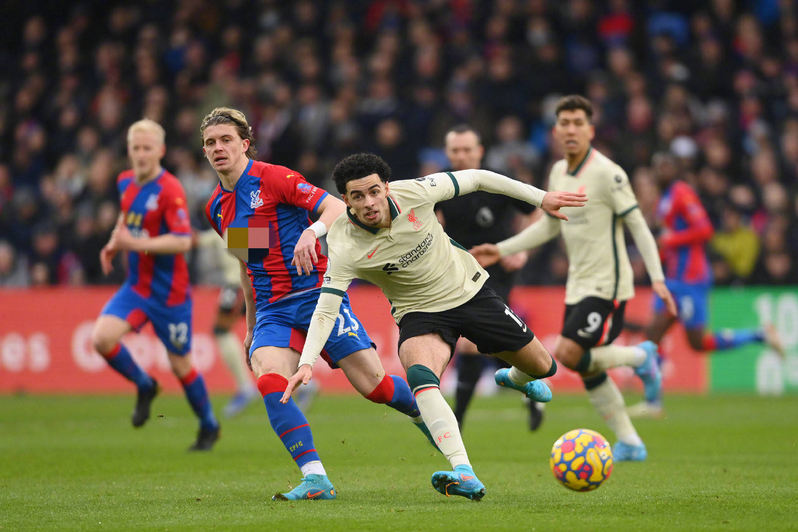 者的关注 者的关注