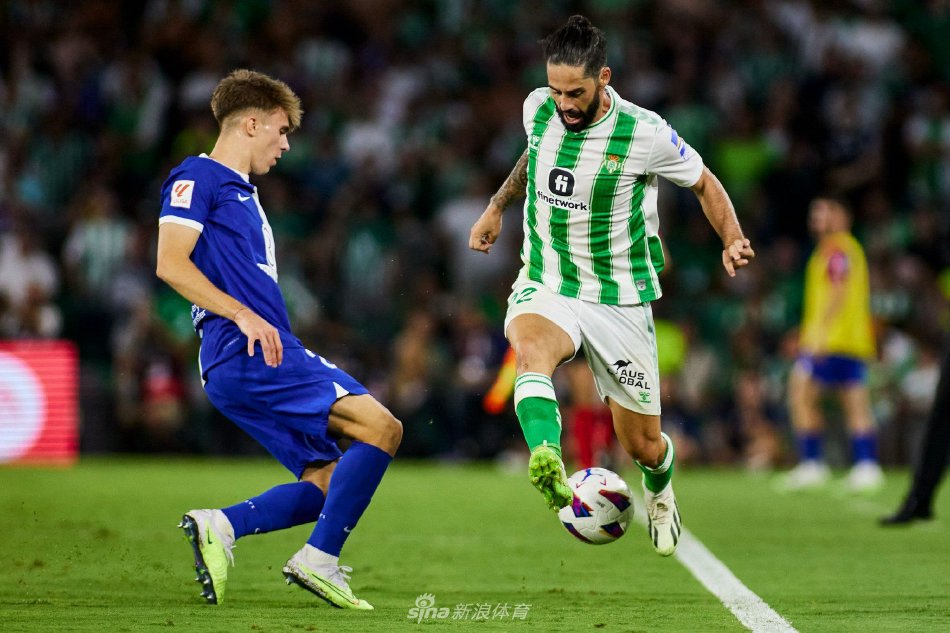 会因为外界 会因为外界