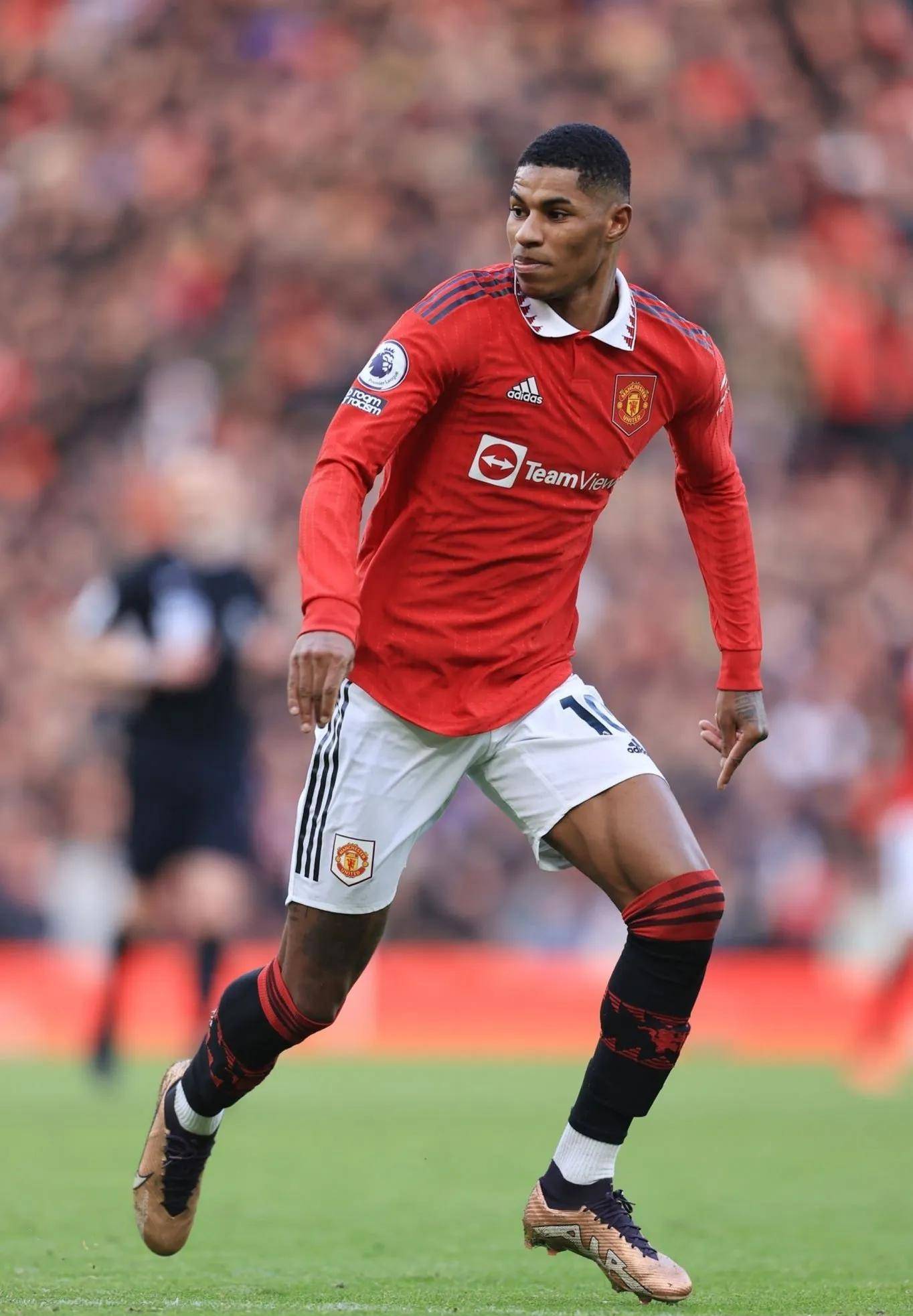 在了解埃迪 在了解埃迪